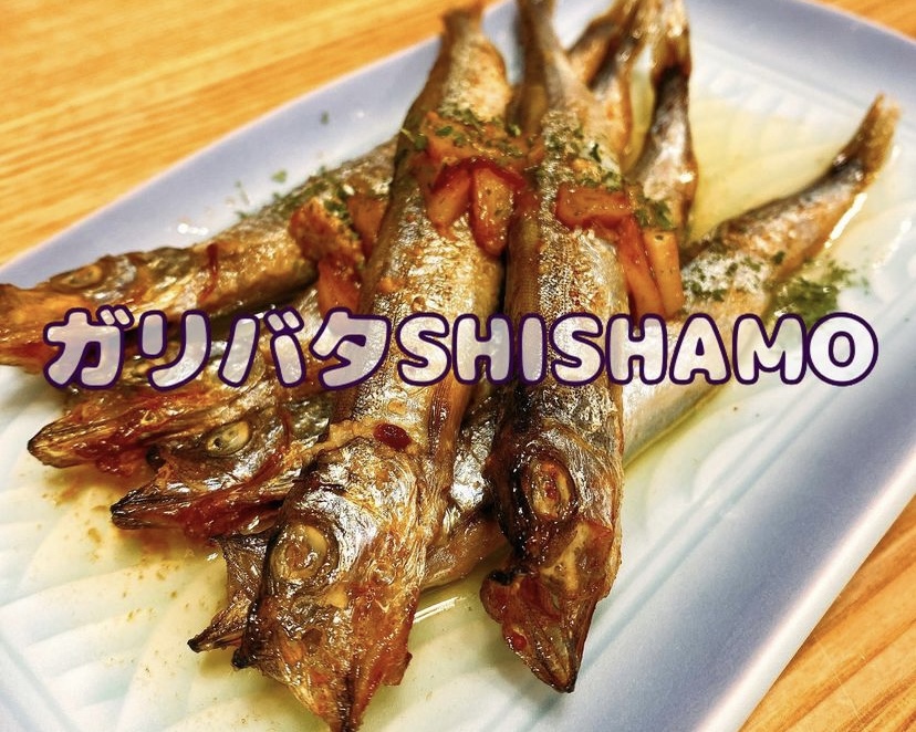 ガリバタSHISHAMO